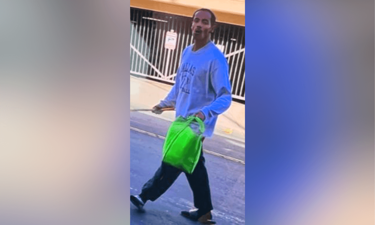Crowbar-Wielding Man Damaged Nearly 30 Cars in Los Angeles