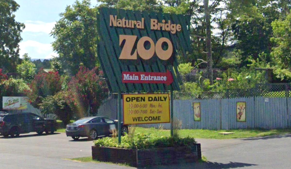Dozens of Animals Taken From Virginia Roadside Zoo as Part of Investigation