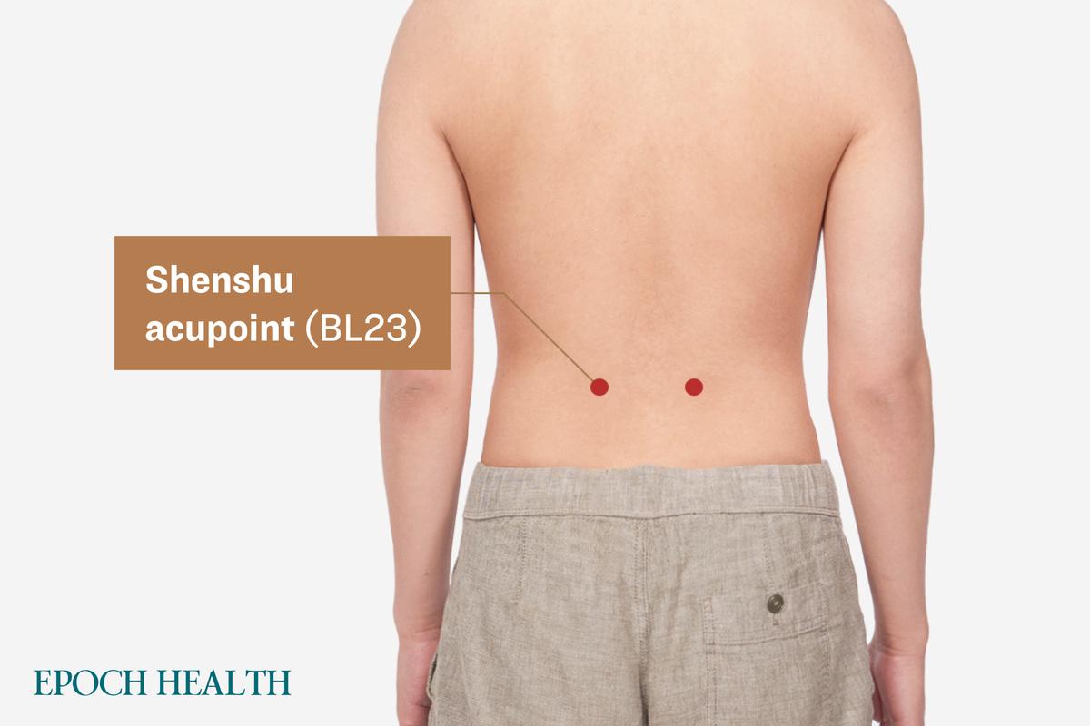  The second beneficial acupoint for the elderly: Shenshu acupoint. (The Epoch Times)