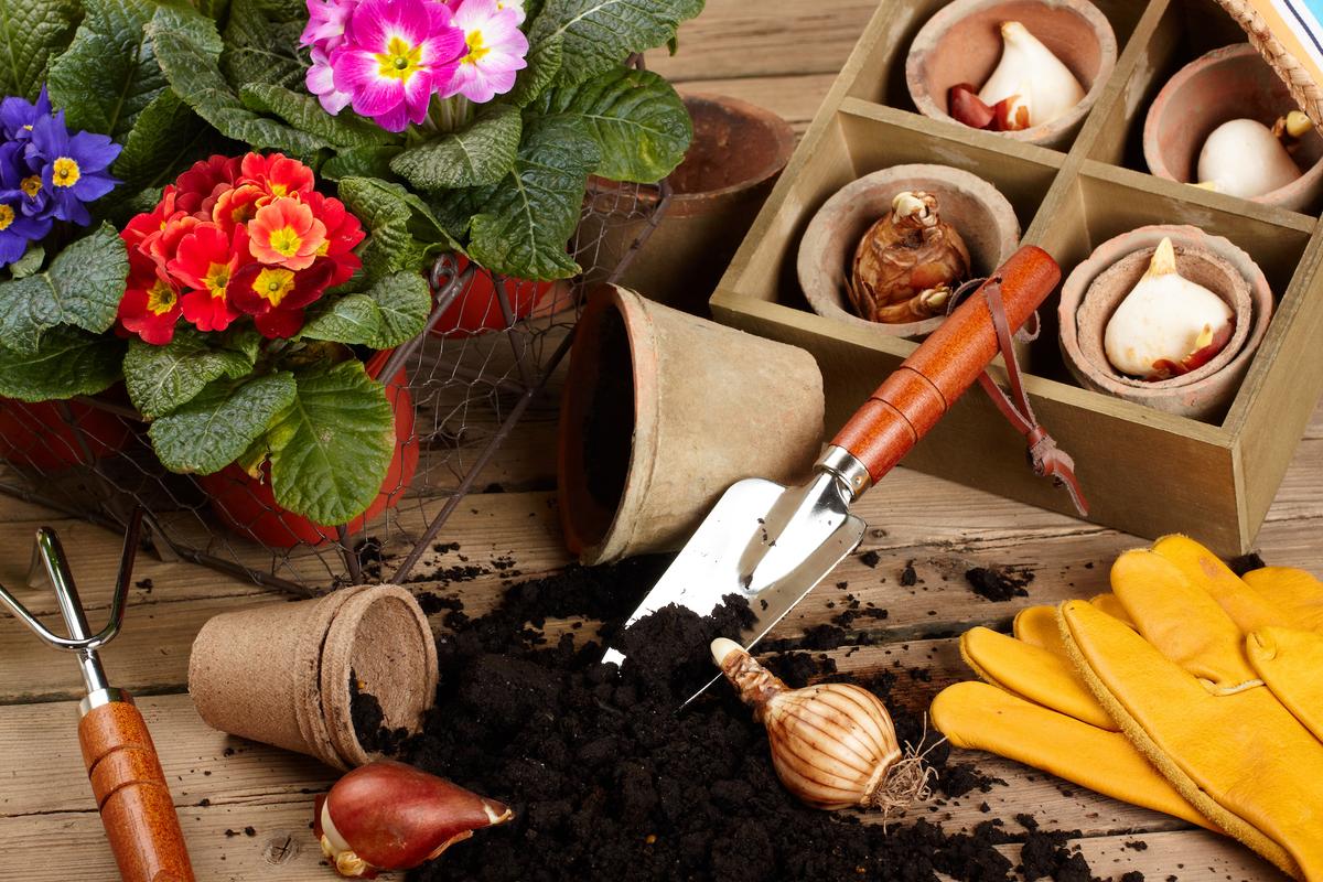 Last-Minute Garden Gift Ideas