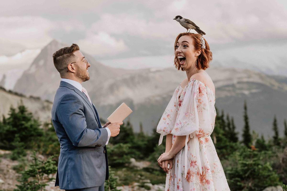 Photo of a Bird Landing on Bride’s Head Wins International Wedding Photographer of the Year