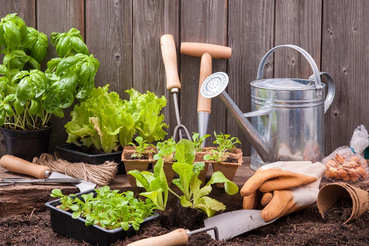 Garden Resolutions