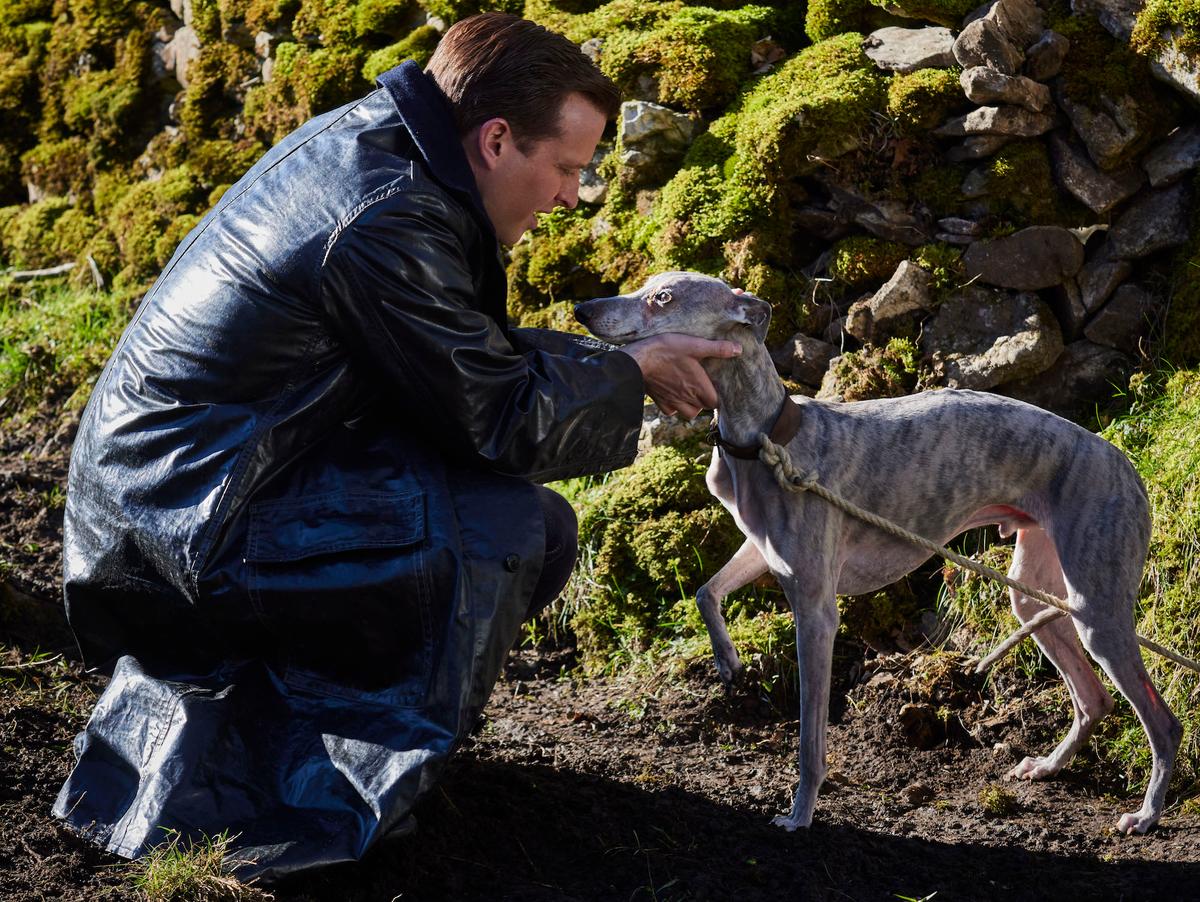 Self-Care Tips From the Pages of James Herriot