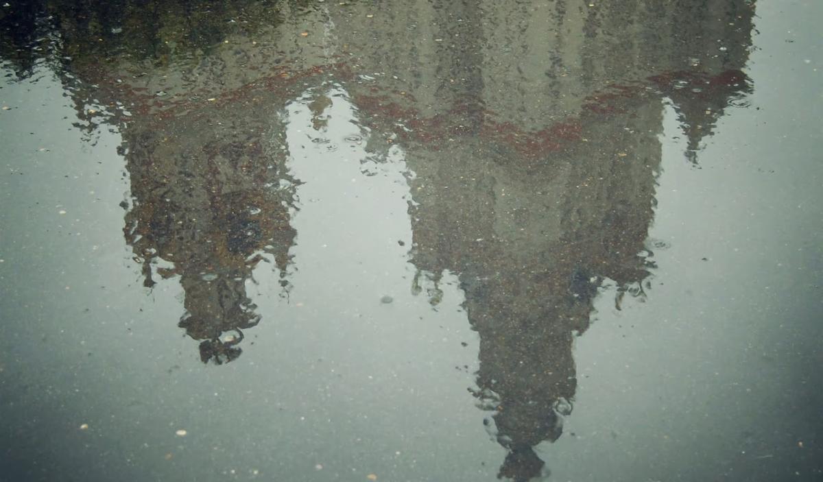 The Real Purge in Academia