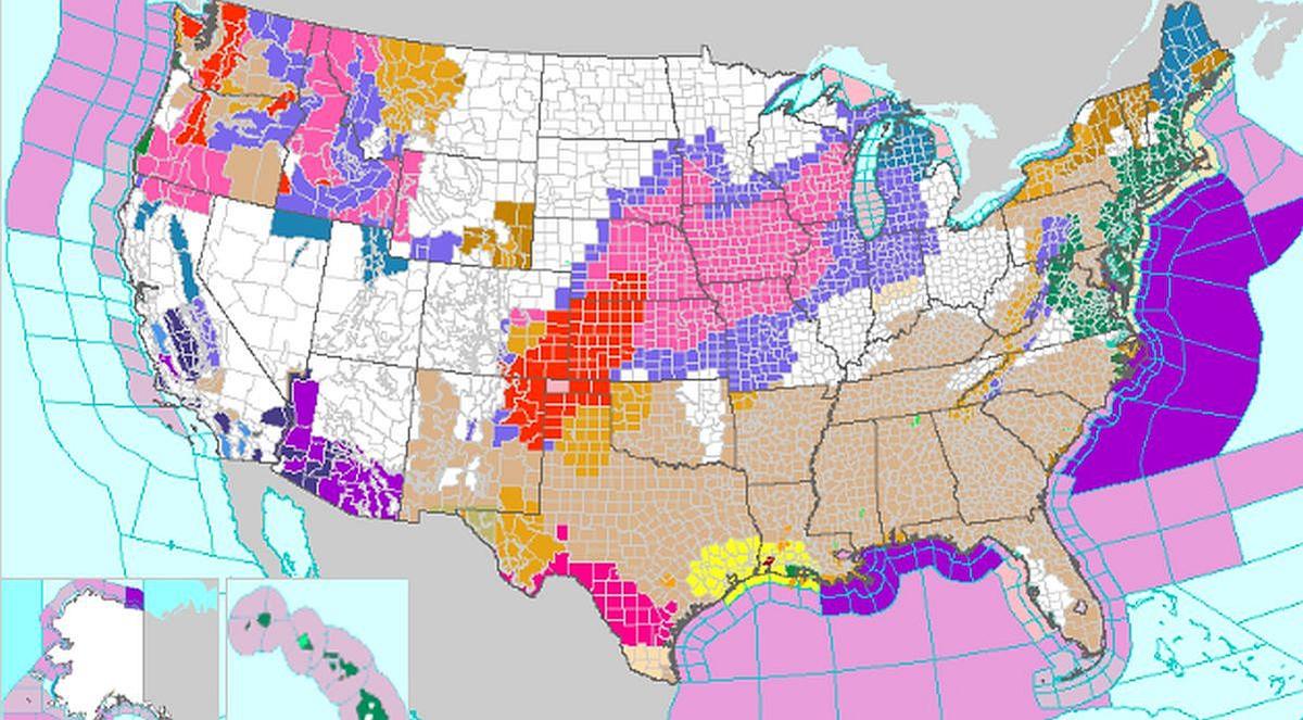 49 States Under Weather Alerts as Powerful Winter System Crosses US