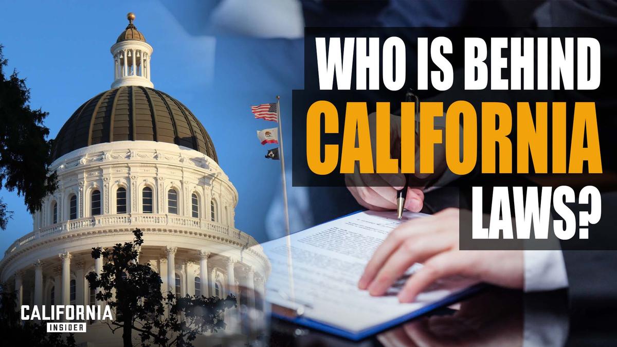 What Most People Don’t Know About California’s Lawmaking Process | Melissa Melendez