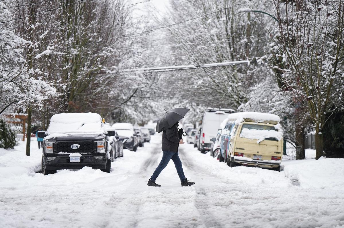 Snow Shuts Metro Vancouver and Fraser Valley Schools as Alerts Blanket Southern BC