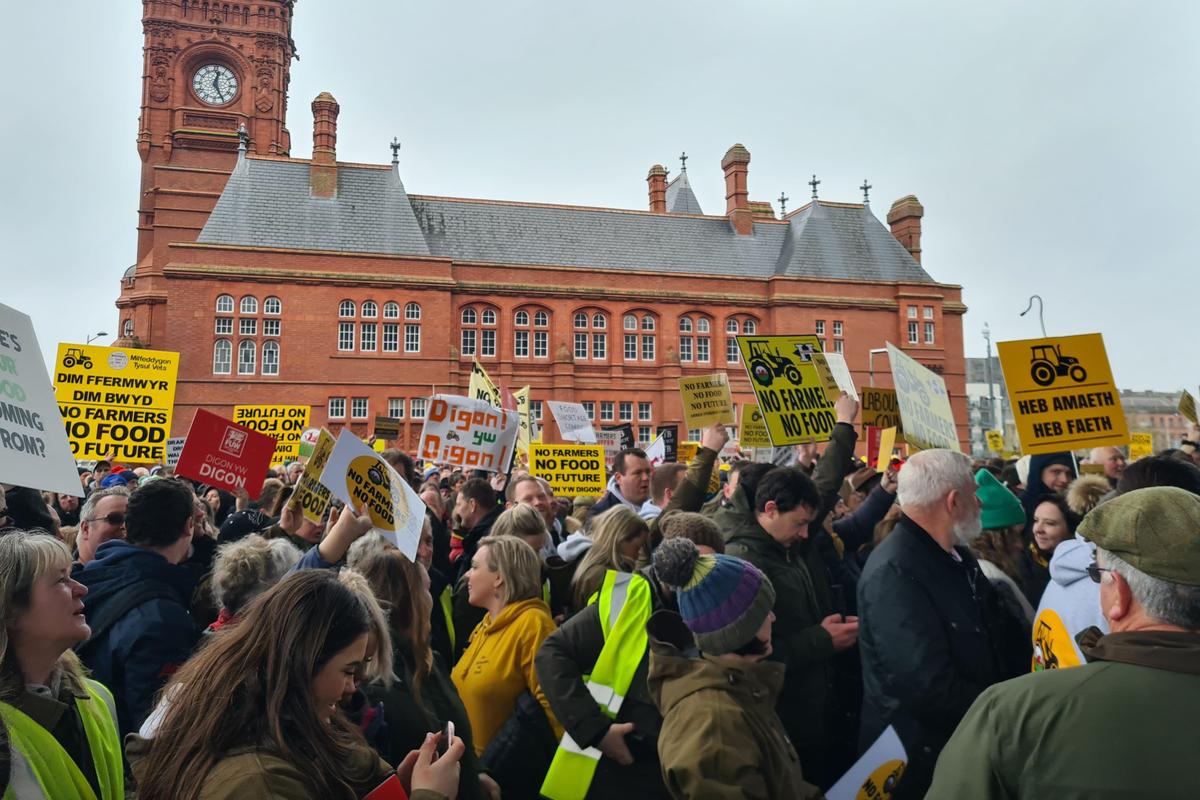 Welsh Farmers Rally in Cardiff Under ‘No Farmers No Food’ Banner