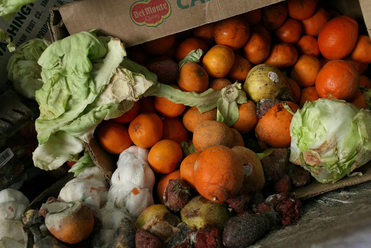 New Law Gives California Green Light to Fine Residents Who Don’t Recycle Food Waste