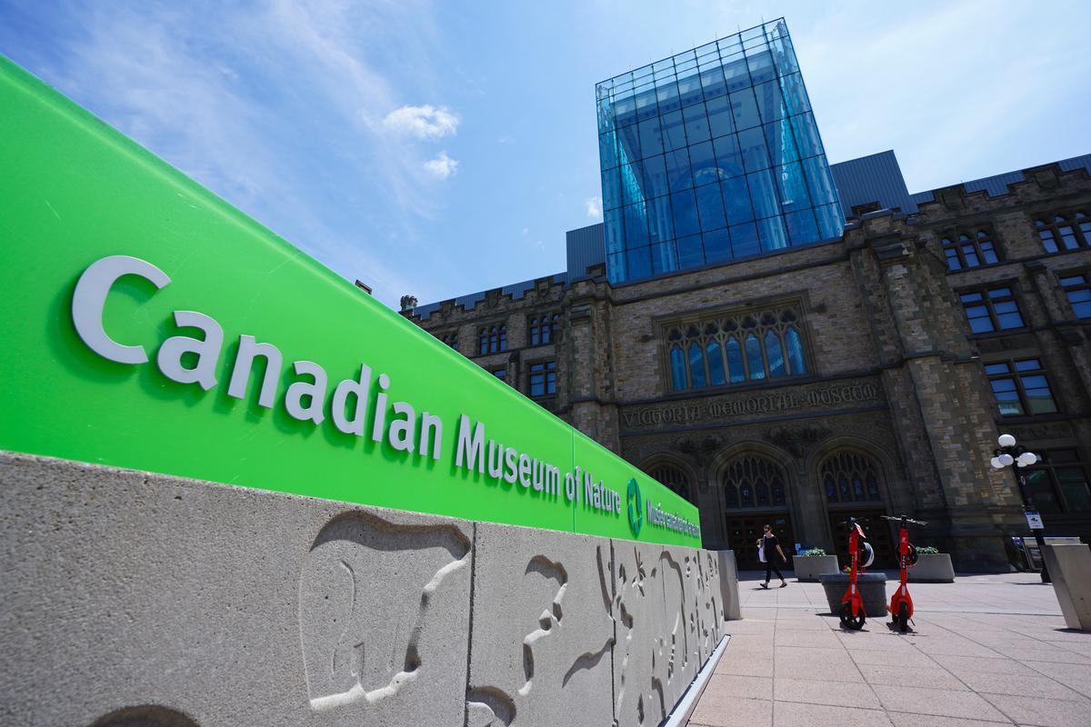 Climate Activists Vandalize Replica Dinosaur at Museum of Nature in Ottawa