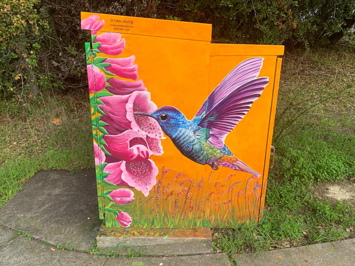 Artist Beautifies Bay Area Cities by Painting Art on Public Utility Boxes