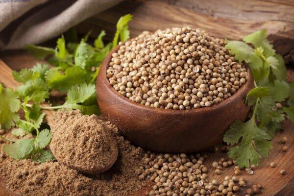 Coriander seeds, fresh cilantro, and powdered coriander. (Elena Schweitzer/Shutterstock)