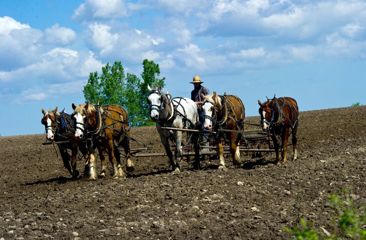 If the First Amendment Cannot Protect the Amish, Who Can It Protect?