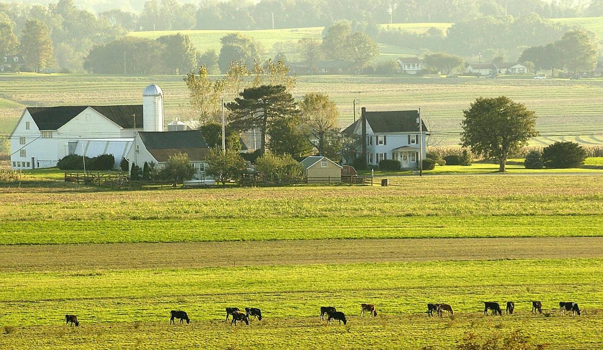 Amish Farmer Alleges Government Agency Falsified Evidence, Hid Results After Raid