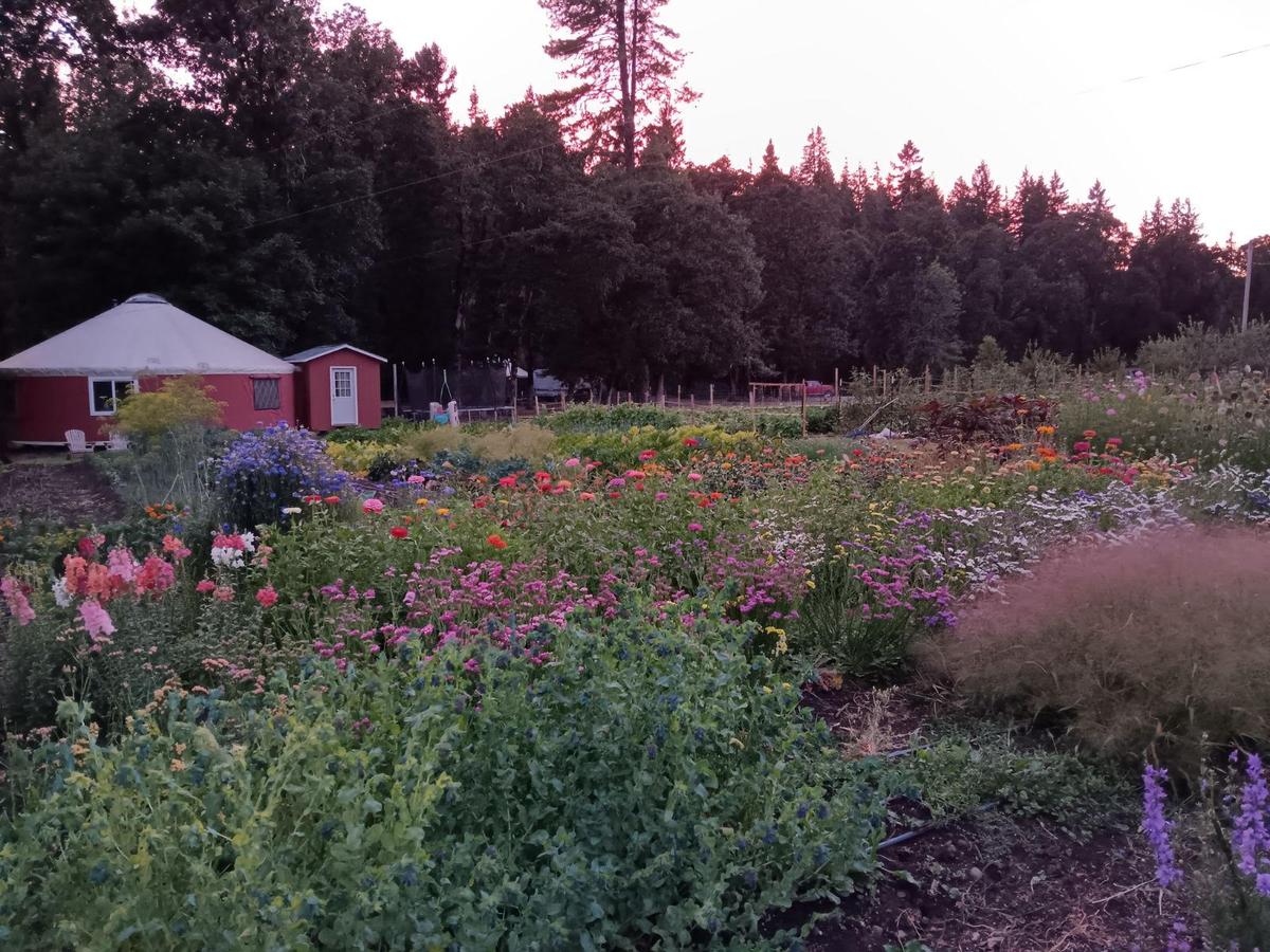 Oregon’s Plans for Stricter Groundwater Rules Face Criticism as Farmers Complain of Threatened Livelihoods