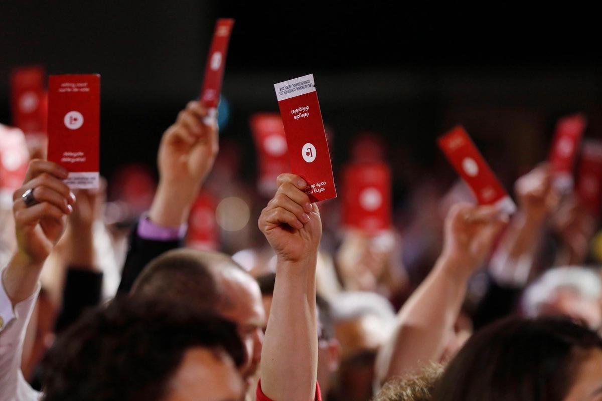 Foreign Agents Can Easily Impact PM Selection via Unvetted Canadian Party Memberships: Study