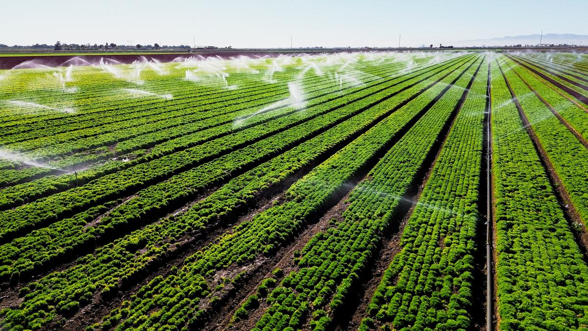 Pentagon, USDA Announce Collaboration to Bolster Agricultural Security