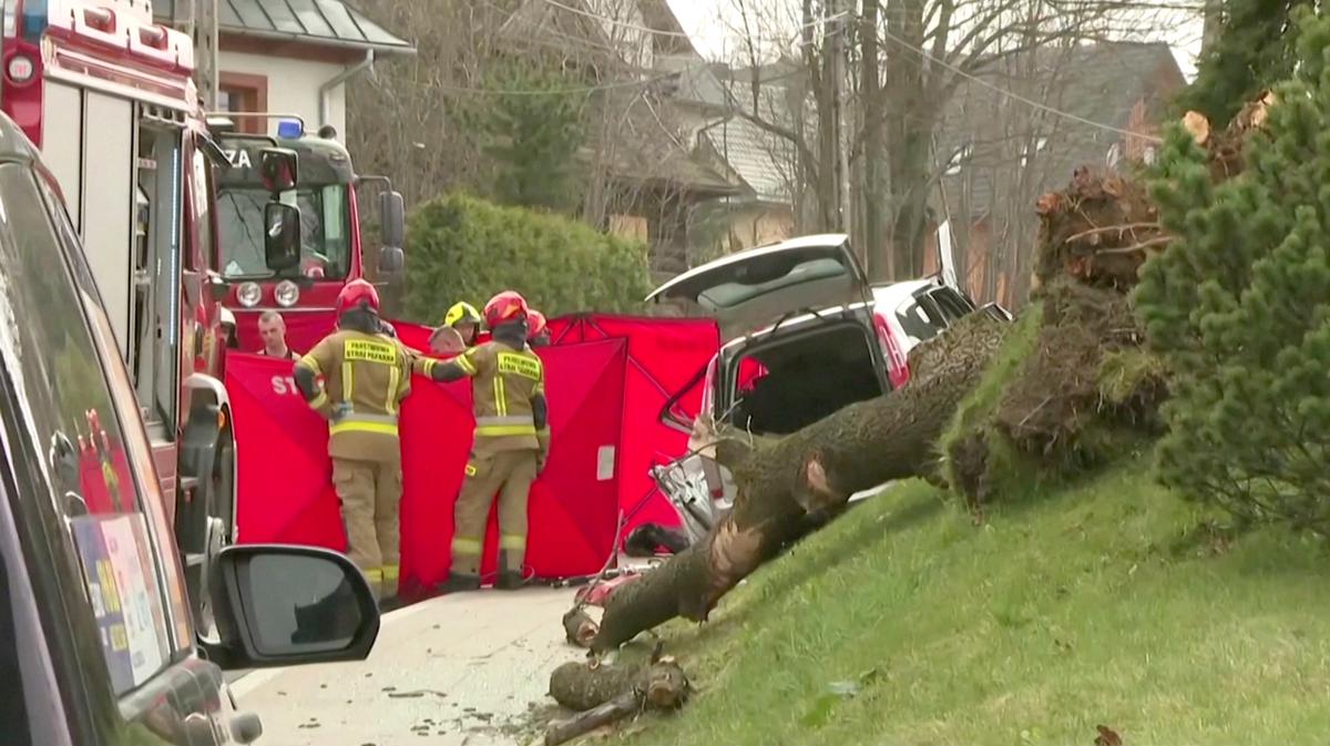 3 Adult, 2 Children Crushed to Death When Strong Winds Topple Trees in Poland