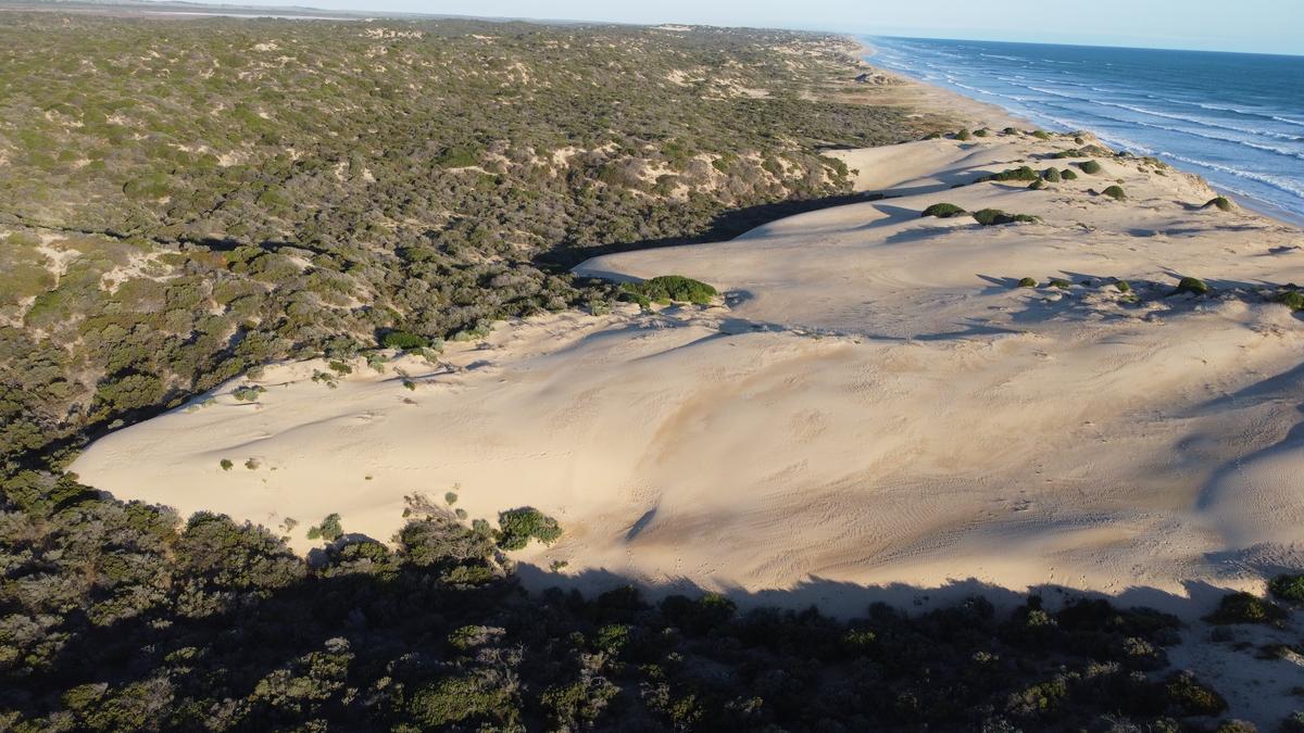 Australian Dunes Retreating From Ocean at Alarming Rate