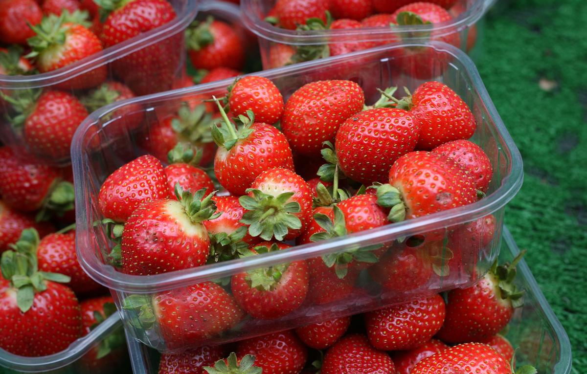 ‘Forever Chemicals’ Present in 95 Percent of Strawberries