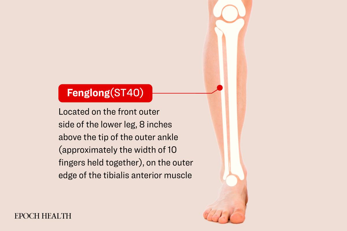 The location of Fenglong acupoint. (The Epoch Times)