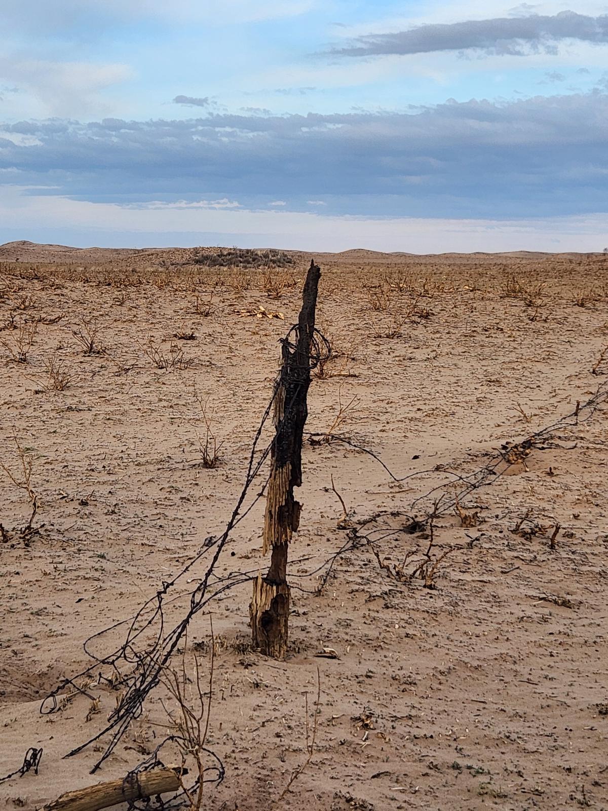 Texans Come Together to Deliver Supplies, Hope to Ranchers Devastated by Wildfires