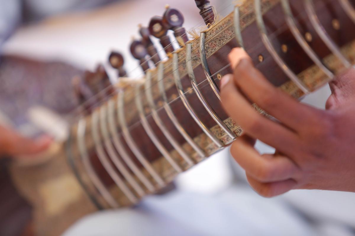 Bowed, Plucked, Strummed, and Struck: Stringed Instruments Around the World