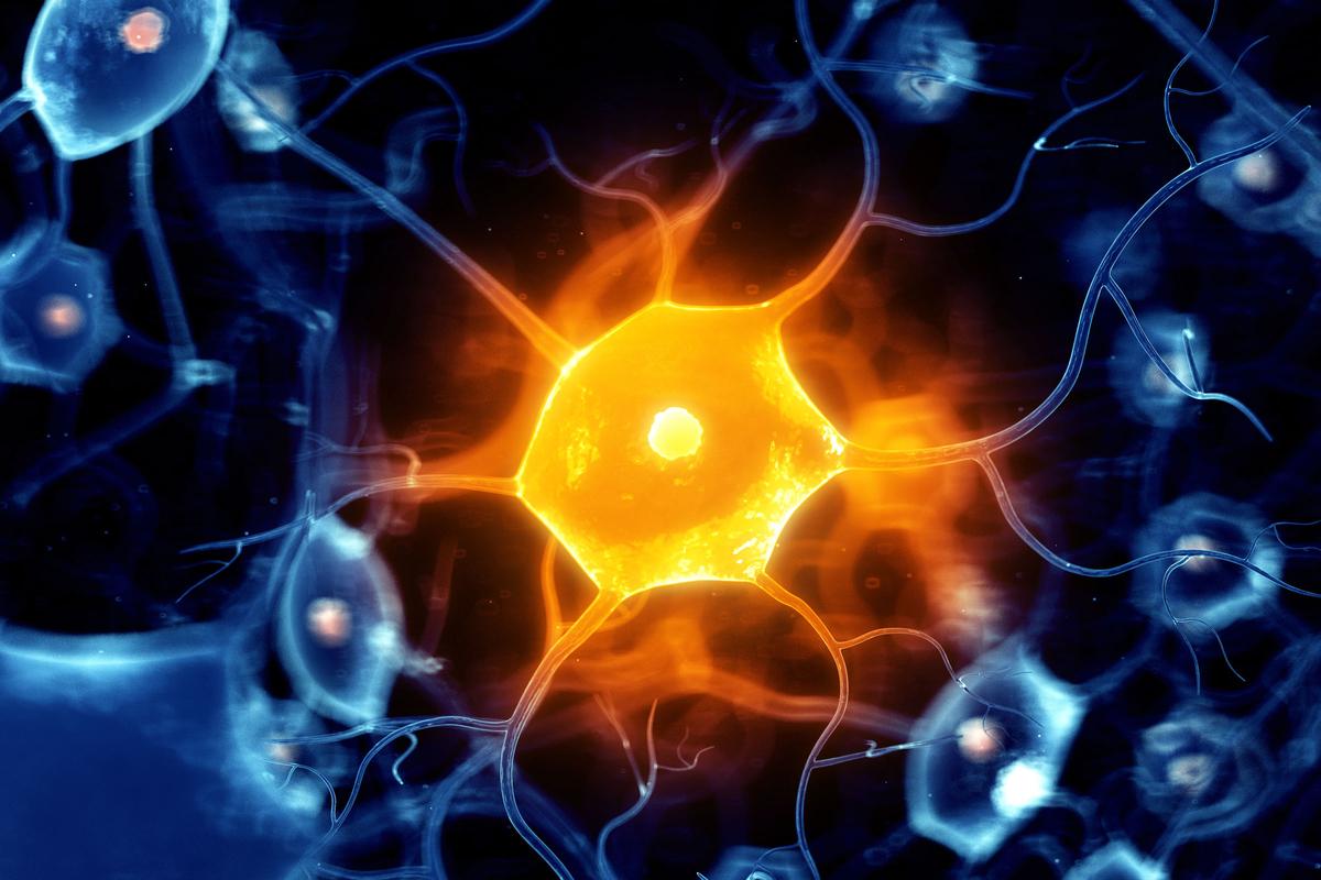 More Than a 3rd of Global Population Have Neurological Disorder: Study