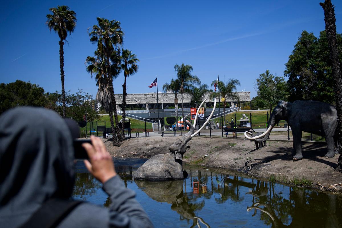 8 Teens Sent to Hospital After Taking Cannabis Edibles at La Brea Tar Pits