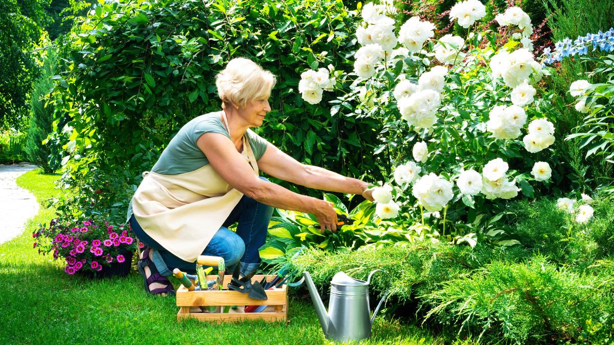 It’s Spring in Canada: Get Thee to the Garden