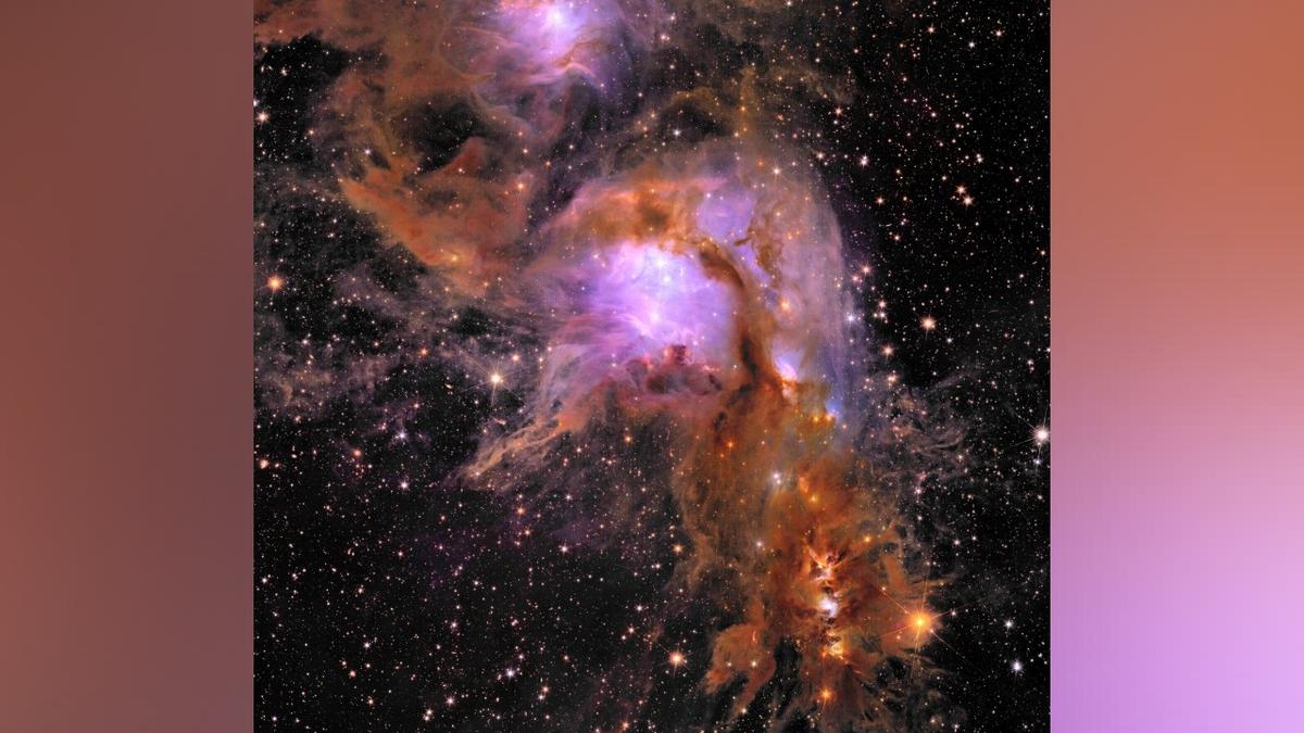 Massive Cradle of Baby Stars Revealed in New Space Telescope Images