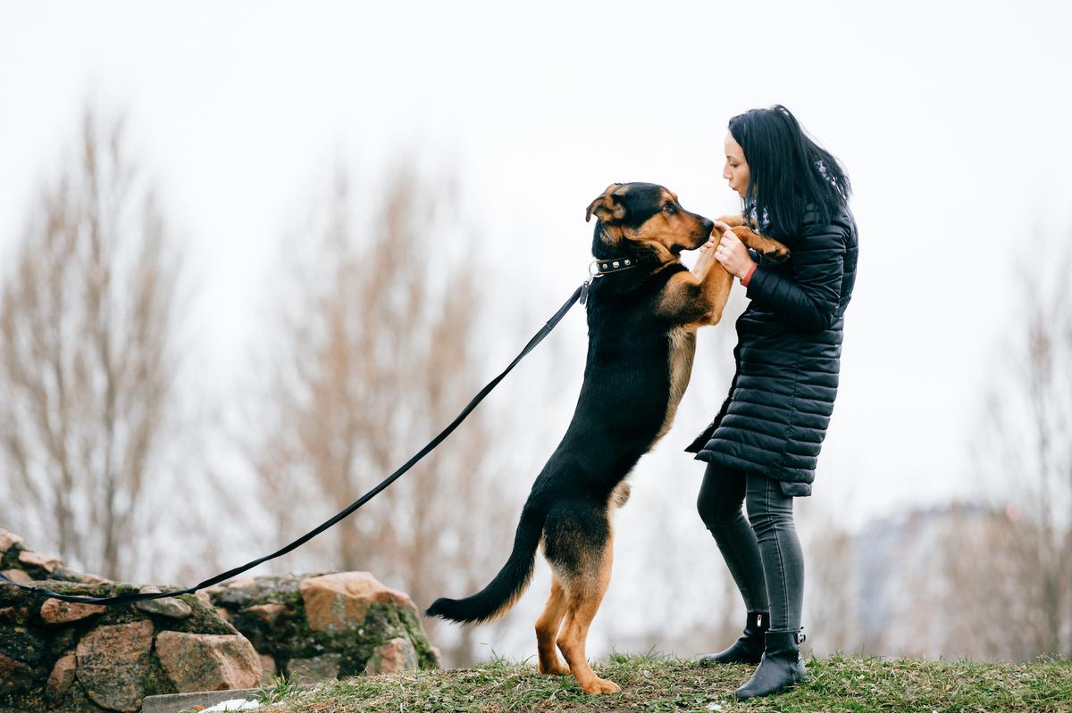 Turn Away From Dog Jumping on You