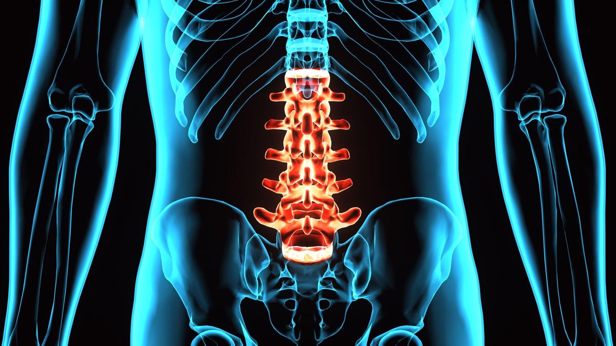 Chiropractic Care Reduces Opioid Prescriptions for Lower Back Pain by 68 Percent: Study