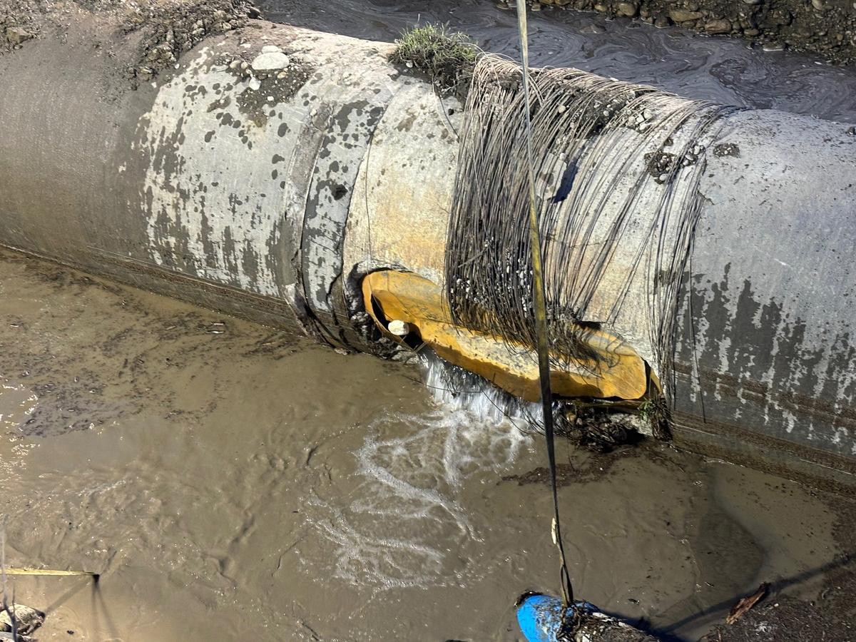 ‘Incredibly Impressed’: Calgary Mayor Applauds Reduced Water Use After Pipeline Break