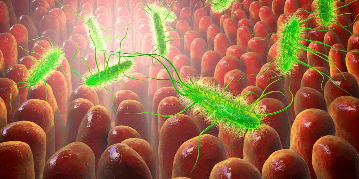 New Antibiotic Targets Only Harmful Microbes