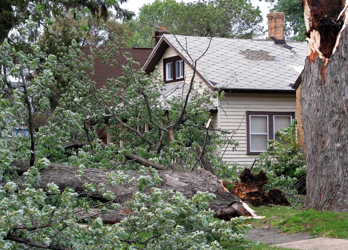 Ask Angi: How Should I Handle Exterior Emergencies?