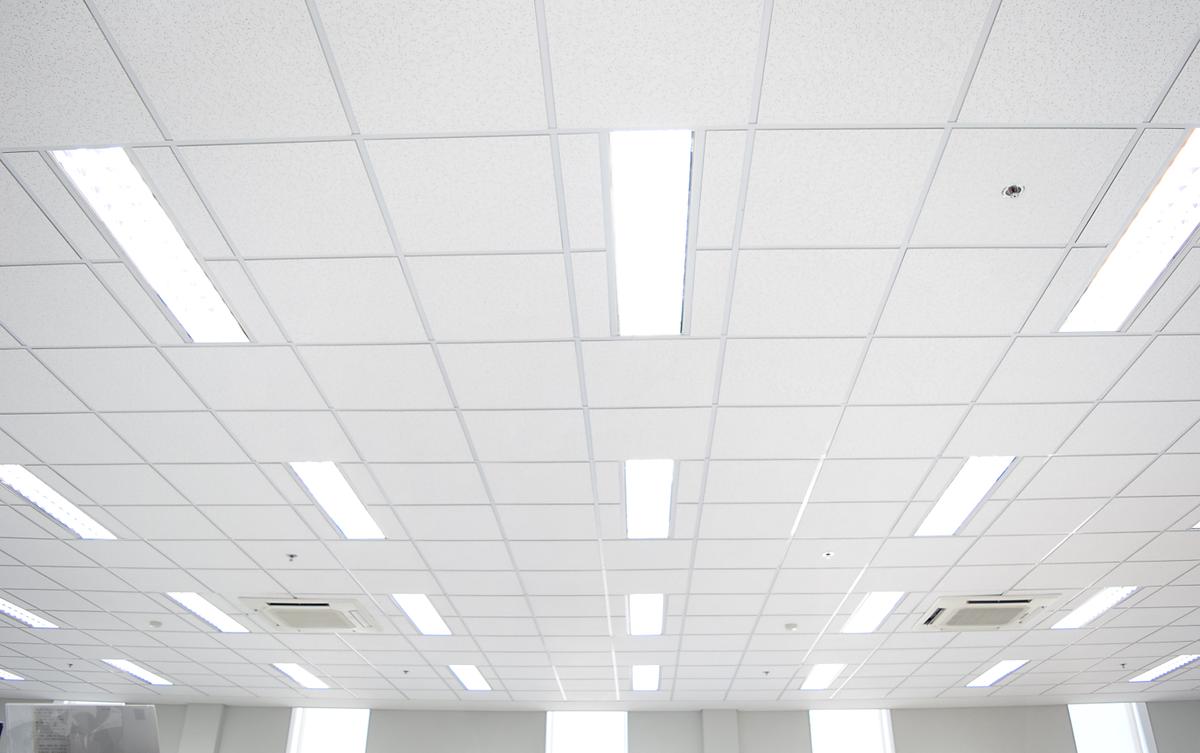 Fluorescent Light Bulbs to Be Banned in Canada