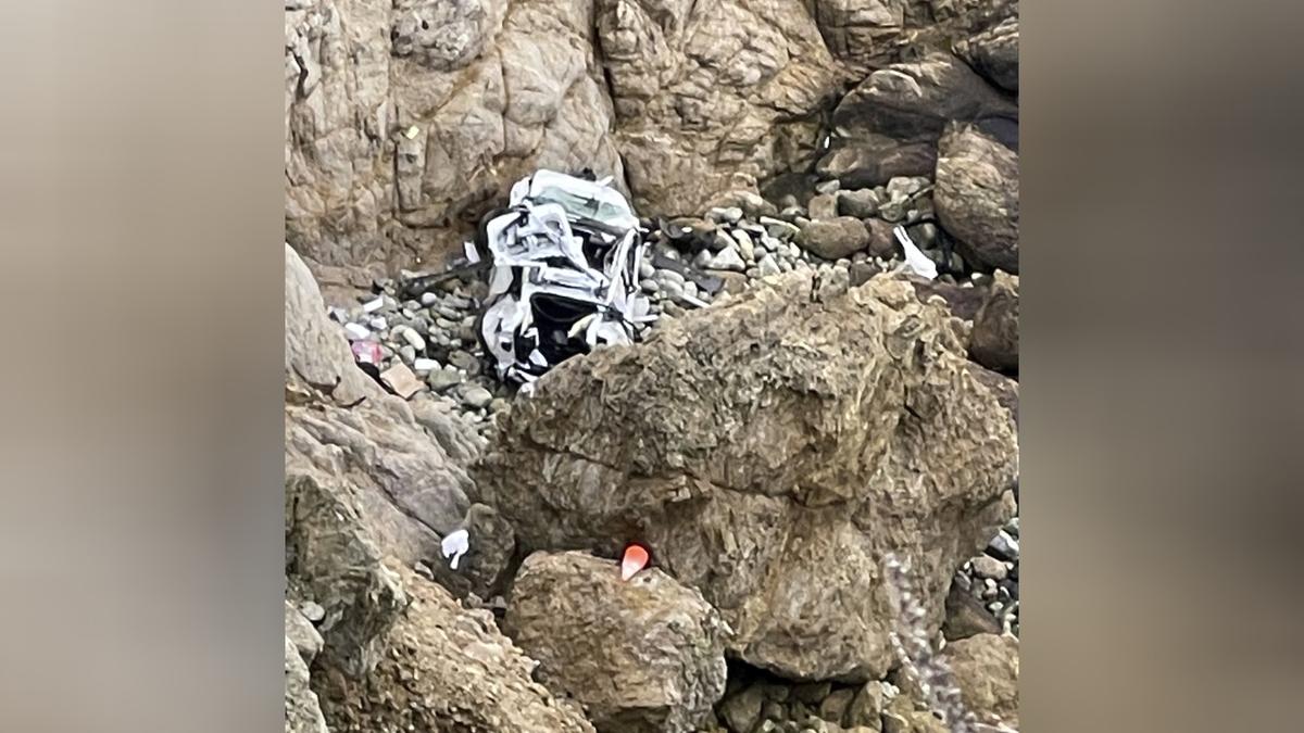 California Doctor Who Drove Family Off Cliff Avoids Trial Due to Mental Illness