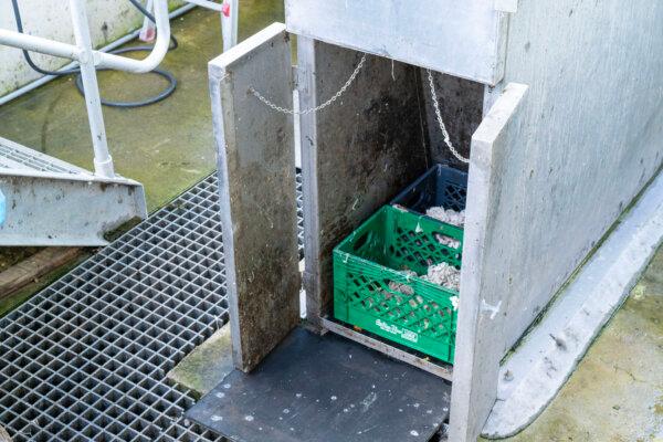 Baskets of large solids filtered from the wastewater at the municipal sewer plant in Bloomingburg, N.Y., on June 27, 2024. (Cara Ding/The Epoch Times)