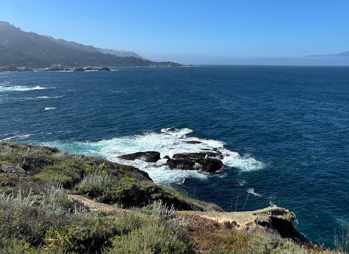 California Coastal Reserve Is a Treasure Trove of Ocean Views and Wildlife