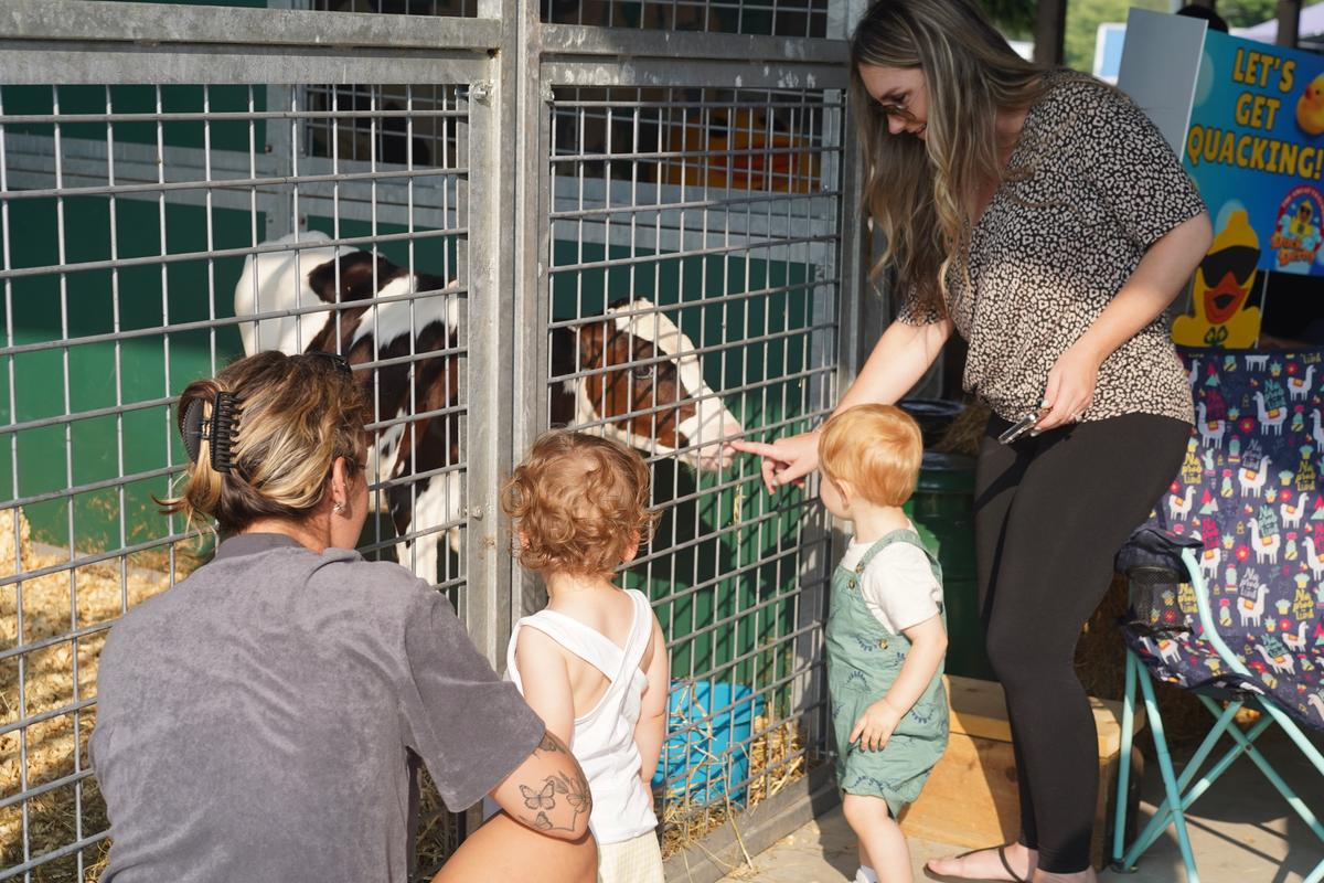 A Different Kind of Zoo
