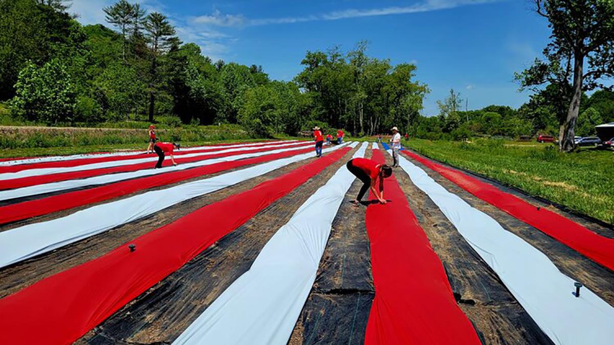 Organic Farm Offers a Lifeline to America’s Struggling Veterans
