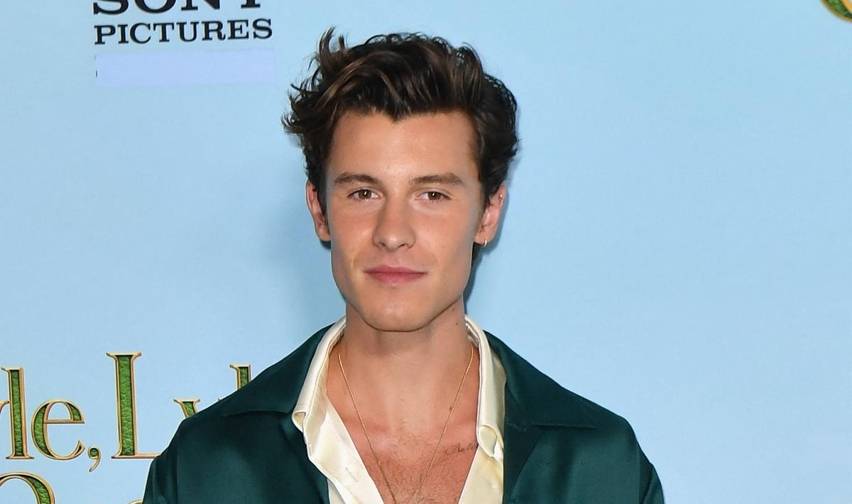 Shawn Mendes Talks Past Mental Health Struggles Ahead of New Album Release