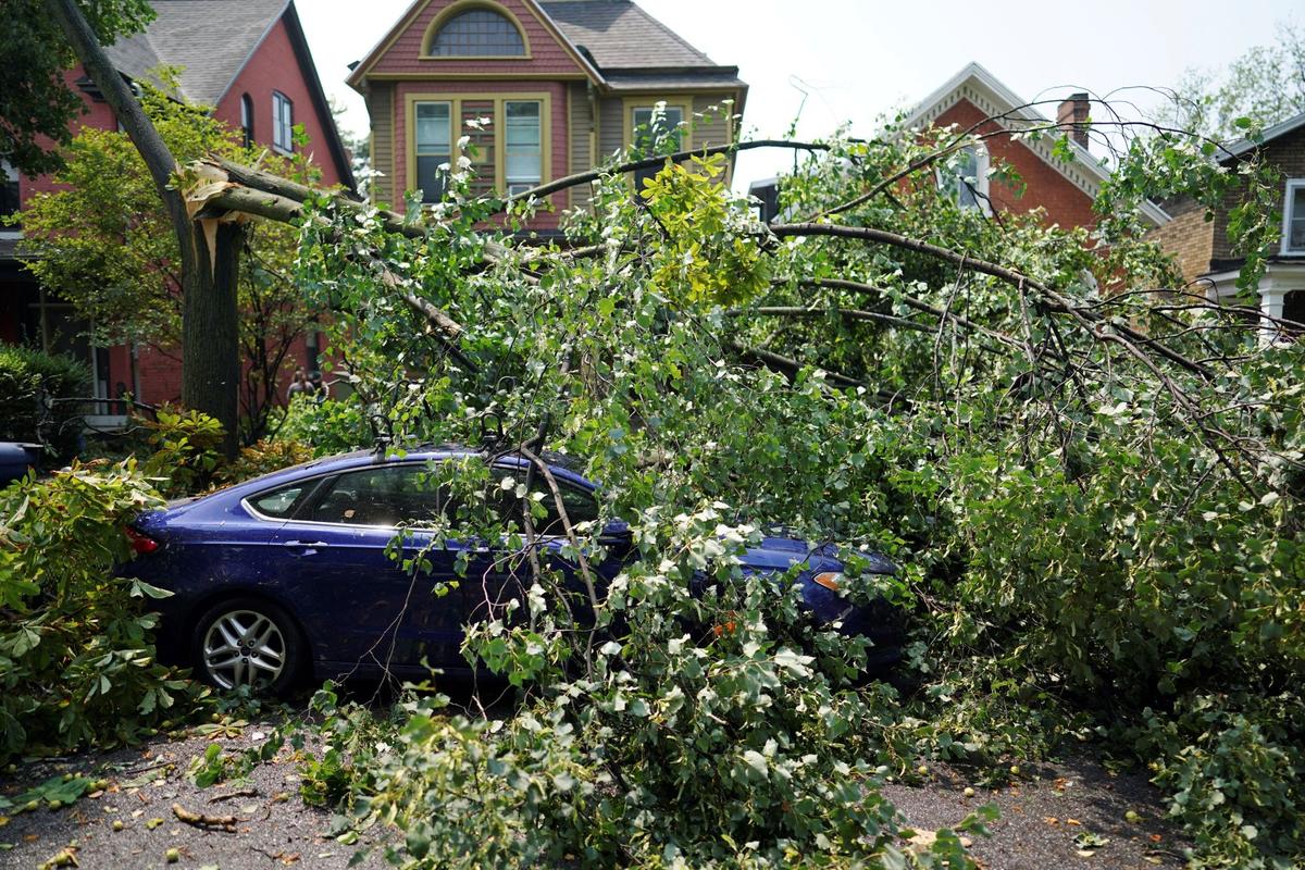 Tornado Briefly Sweeps Into Buffalo, Damaging Buildings and Scattering Tree Limbs