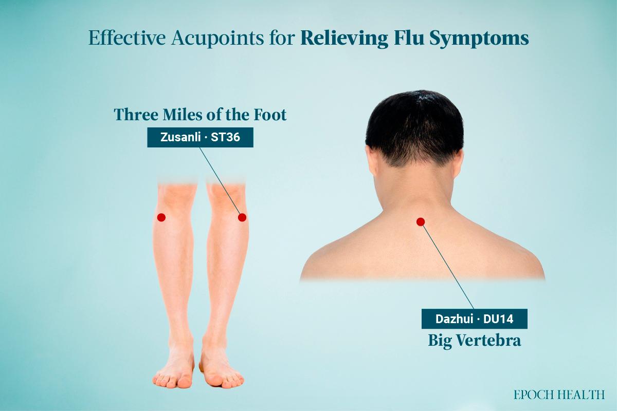 Effective acupoints for an overall immune boost. (The Epoch Times)
