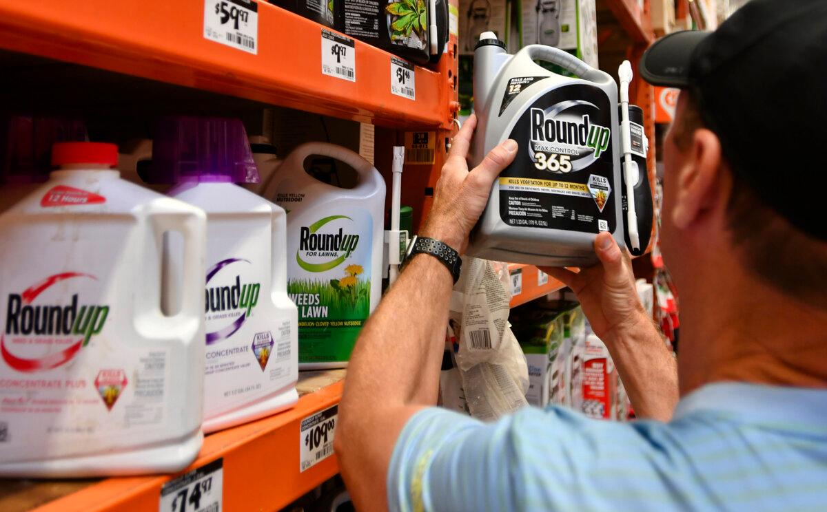 A customer shops for Roundup products at a store in San Rafael, Calif., on July 9, 2018. (Josh Edelson/AFP via Getty Images)