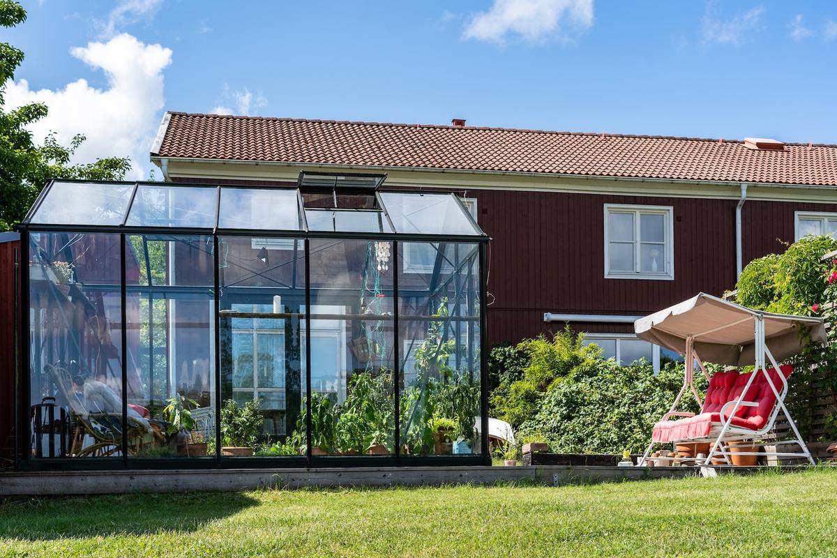 Plant Sanctuary: Choosing the Best Greenhouse