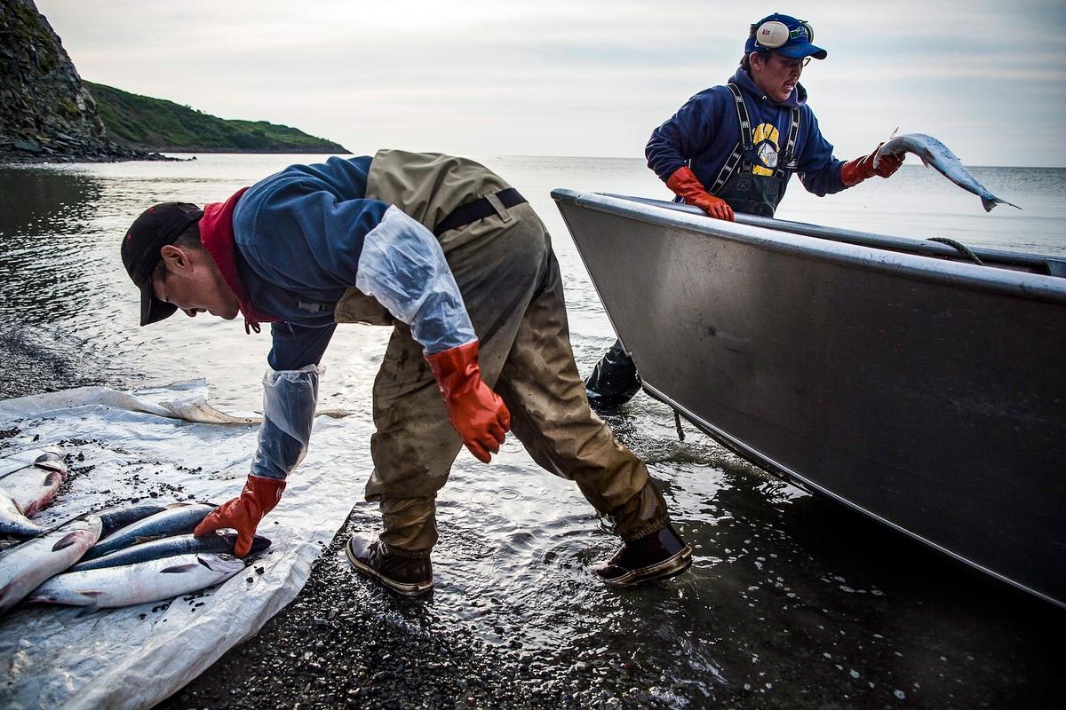 Federal Appeals Court Reverses Decision, Keeps Alaska Salmon Fishery Open