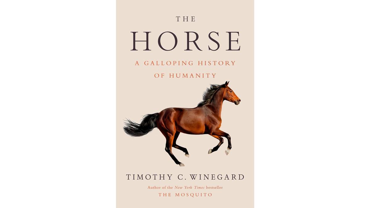 ‘The Horse: A Galloping History of Humanity’