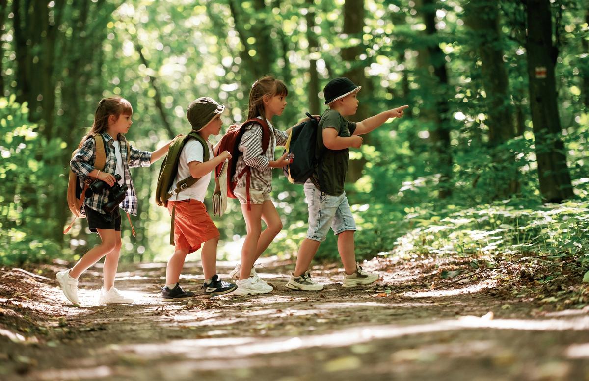 Homeschooling Must-Haves for a Successful School Year 